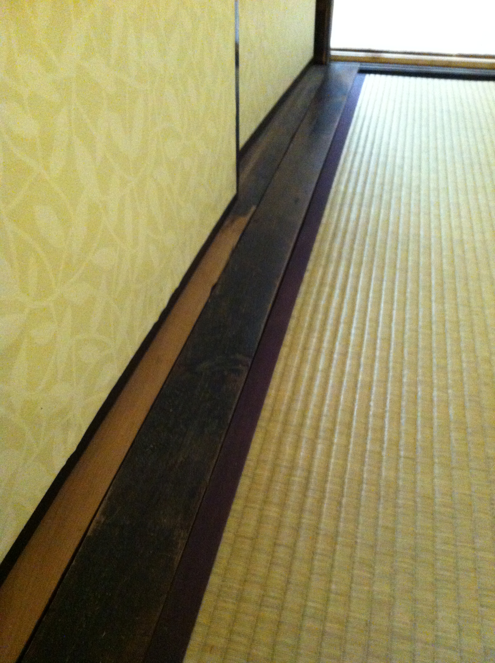 Tv摜